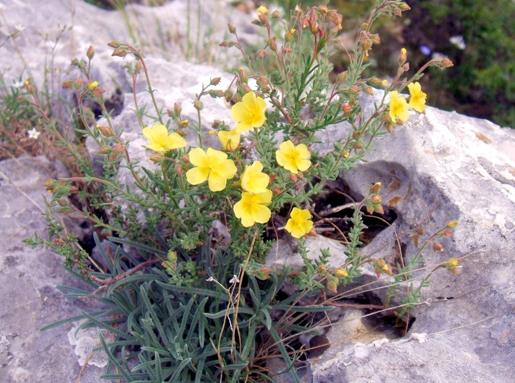 I colori del Gargano